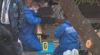 Man arrested after woman's body found in Sydney bushland