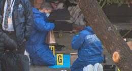 Man arrested after woman's body found in Sydney bushland