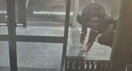 Mother accused of being alleged mastermind of crime spree in Sydney's west