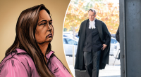 Mushroom cook is 'not on trial for lying', defence says