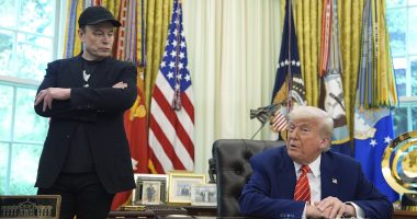 Musk admits regret over 'too far' posts criticizing Donald Trump