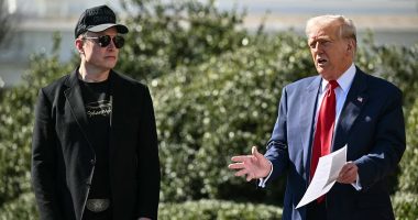 Musk extends Olive branch to Trump amid strained relationship