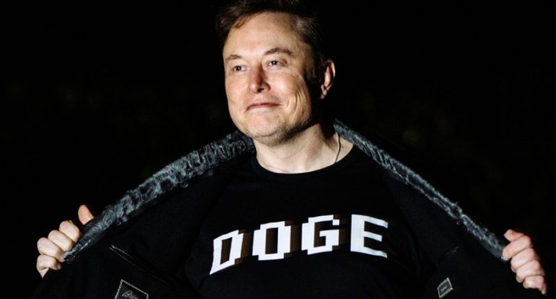 Musk says he doesn't 'wanna take responsibility' for all Trump actions