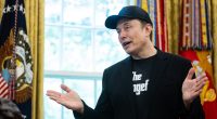 Musk urges voters to oust any politician supporting spending bill