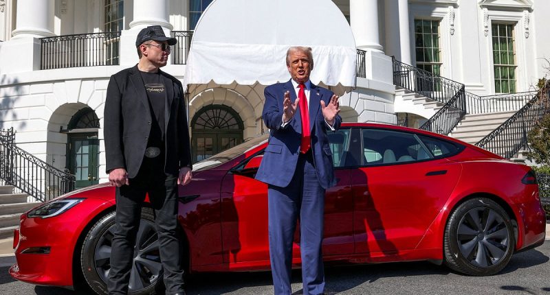 Mystery of Trump's vanishing Tesla as his purchase from Elon Musk disappears from outside White House