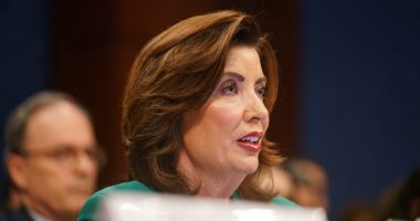 NYC mayoral candidate Lander 'free man' after ICE arrest: Governor