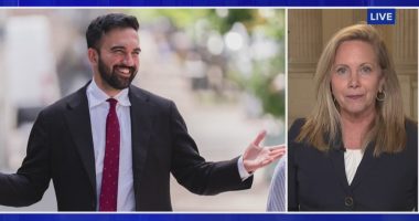 New York Democrat says Mamdani is 'too extreme' to lead NYC