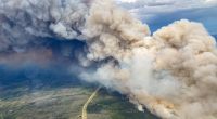 New maps indicate US regions facing potential Canadian wildfires smoke