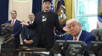 Poll finds Brits back Elon Musk in war with ex-ally Donald Trump... but both are deeply unpopular