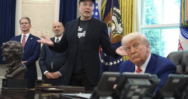 Poll finds Brits back Elon Musk in war with ex-ally Donald Trump... but both are deeply unpopular