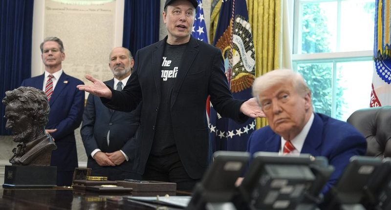 Poll finds Brits back Elon Musk in war with ex-ally Donald Trump... but both are deeply unpopular