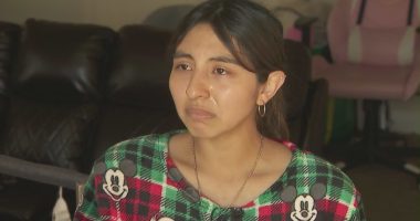 Pregnant US citizen detained by border agents: 'We didn't do anything wrong' 