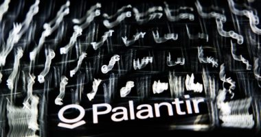 President Trump, Palantir's possible partnership: What to know