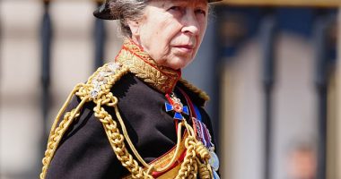 One year since she was hospitalised after being kicked by a horse, Royal fans have praised Princess Anne 's unwavering dedication to royal duties