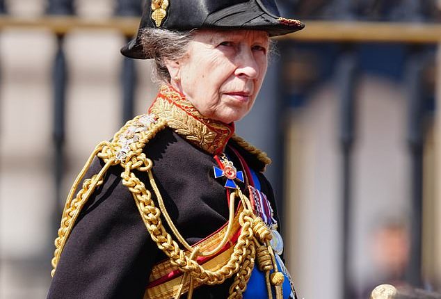 One year since she was hospitalised after being kicked by a horse, Royal fans have praised Princess Anne 's unwavering dedication to royal duties