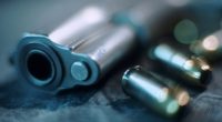Proposed bill to allows parade goers to carrying concealed handguns