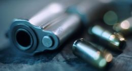 Proposed bill to allows parade goers to carrying concealed handguns