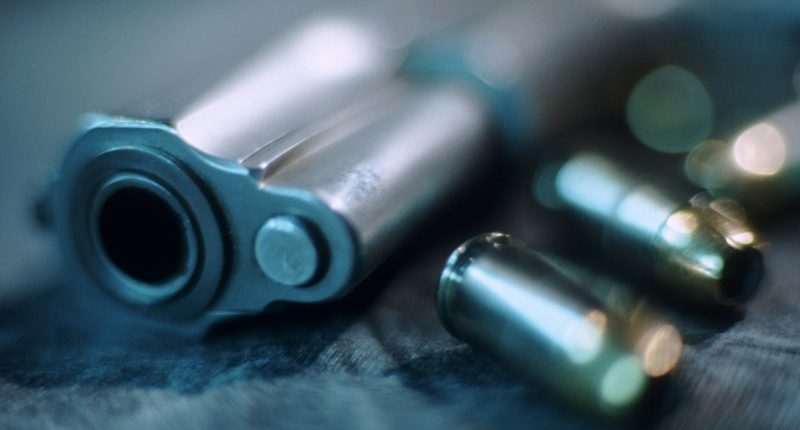Proposed bill to allows parade goers to carrying concealed handguns