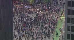 Protesters rally against ICE in downtown Chicago