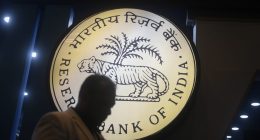 RBI cuts rates to lowest since August 2022 in bid to shore up growth