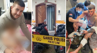 Race against time to find gunmen who shot Aussies in Bali