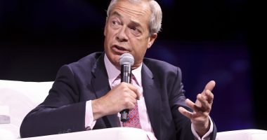 Reform launches Elon Musk-style council 'DOGE' drive with the help of a mystery business mogul… as Nigel Farage eyes win in Scottish by-election