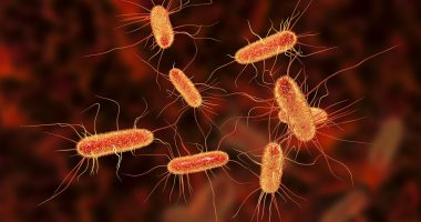 Safety warning over popular 'healthy' food that's often laced with deadly bacteria