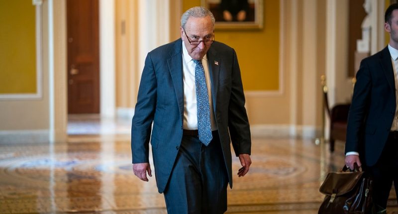 Schumer vows to fight GOP megabill 'with everything we’ve got'