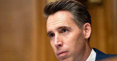 Sen. Josh Hawley investigating LA protests