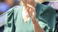 Sophie, The Duchess of Edinburgh looks radiant as she makes her way through the sun-kissed parade