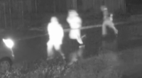 South Australia set to crack down on street gangs with tough new laws