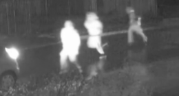 South Australia set to crack down on street gangs with tough new laws