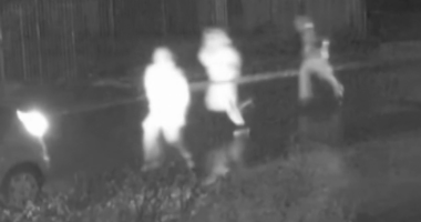 South Australia set to crack down on street gangs with tough new laws