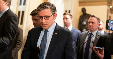 Speaker Johnson teases follow-ups to the 'one big, beautiful bill'