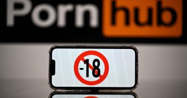 Supreme Court upholds Texas age verification for online pornography