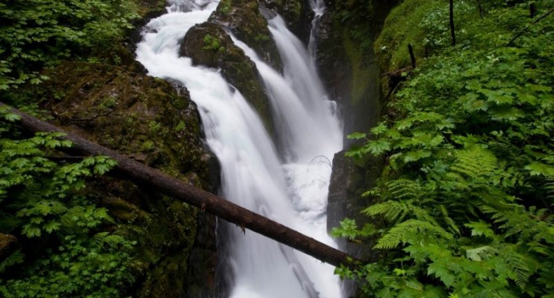 Sol Duc Falls.(Photo by Wolfgang Kaehler/LightRocket via Getty Images)