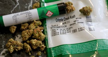 Texas Gov. Abbott vetoes THC ban, calls special session