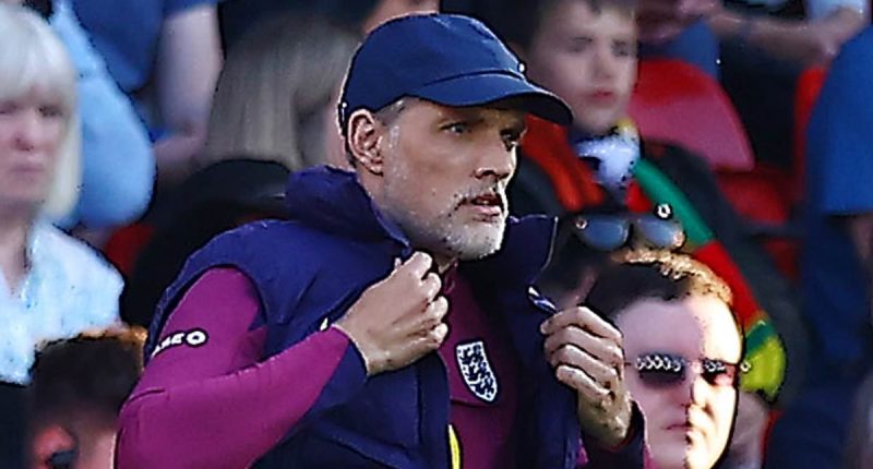 The SIX glaring problems haunting England ahead of next year's World Cup - and how Thomas Tuchel must respond after a worrying international break, writes IAN LADYMAN