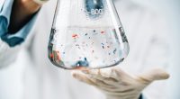 The expert's guide to what microplastics do to your body - and 22 ways to minimise your risk