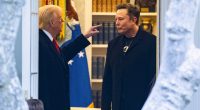 The influential Trump advisor who triggered the president's spectacular split with Elon Musk
