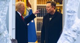 The influential Trump advisor who triggered the president's spectacular split with Elon Musk