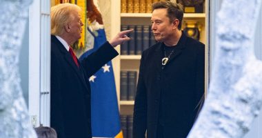The influential Trump advisor who triggered the president's spectacular split with Elon Musk