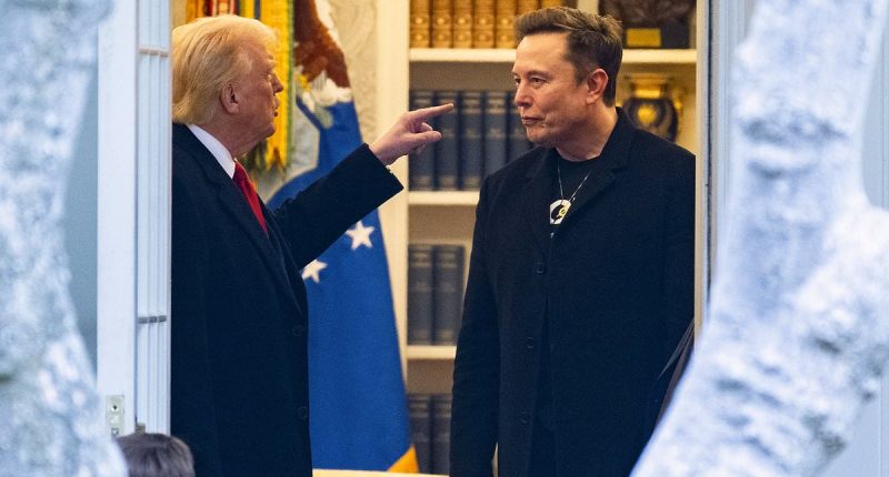 The influential Trump advisor who triggered the president's spectacular split with Elon Musk