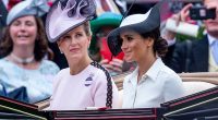 Meghan Markle turned down Sophie's offer to help mentor her into the Royal Family, according to a royal expert. The pair pictured at Royal Ascot in 2018
