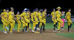To Play For Savannah Bananas Takes All Sorts Of Special Skills