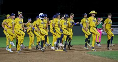 To Play For Savannah Bananas Takes All Sorts Of Special Skills