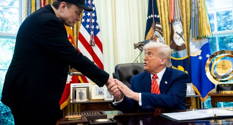 Trump, Musk feud painful to watch: CPAC chairman