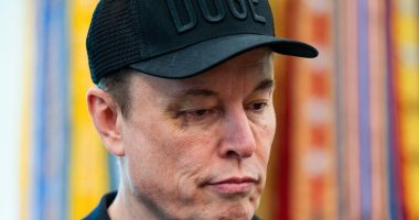 Trump allies side with Elon Musk on fiscal spending