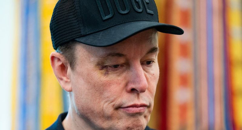 Trump allies side with Elon Musk on fiscal spending