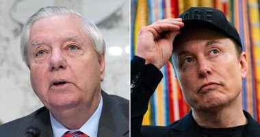 Trump ally Lindsey Graham calls out Elon Musk 'bull****' after tech titan throws his credibility under the bus
